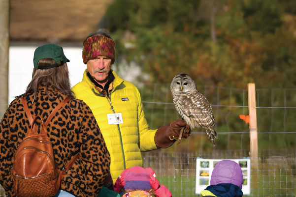 Marlowe the Barred Owl